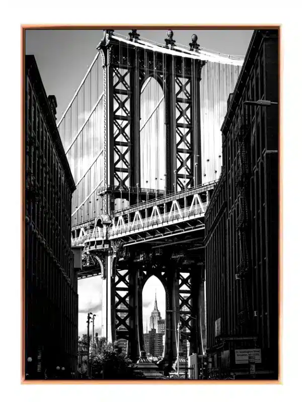 Manhattan Bridge med Skyline