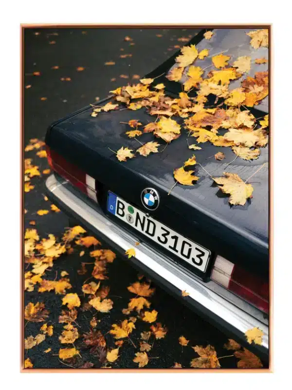Efterårsblade på Bmw Bagklap