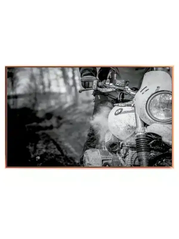 Bmw Adventure Spirit Plakat
