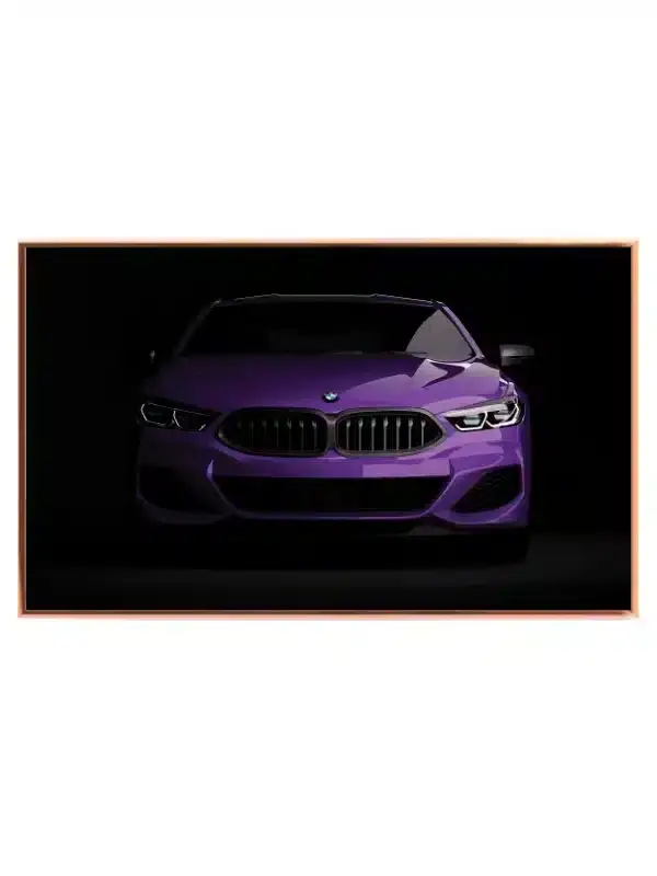 BMW Luksuspræstationsbil
