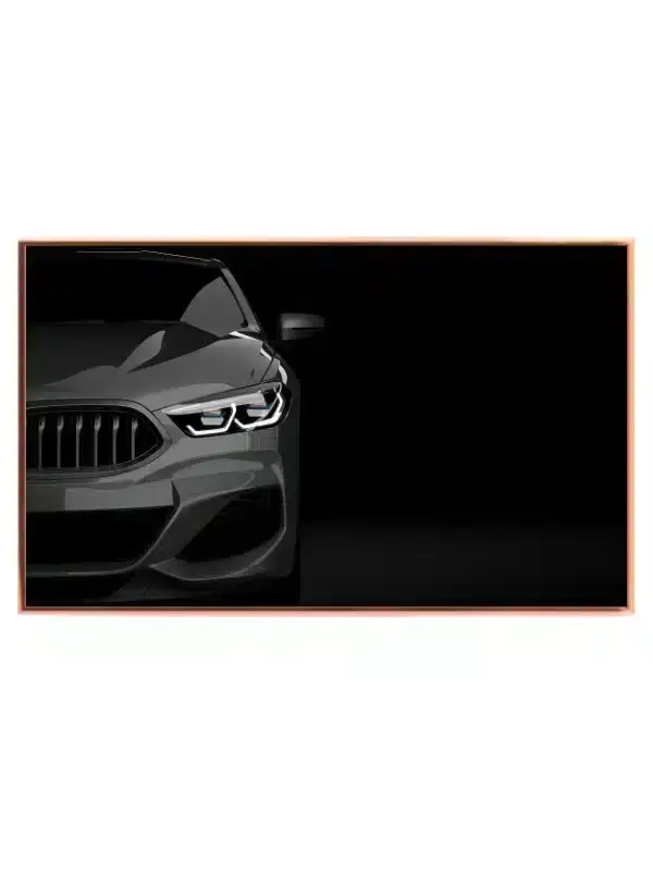 BMW Fantastisk Frontudsigt