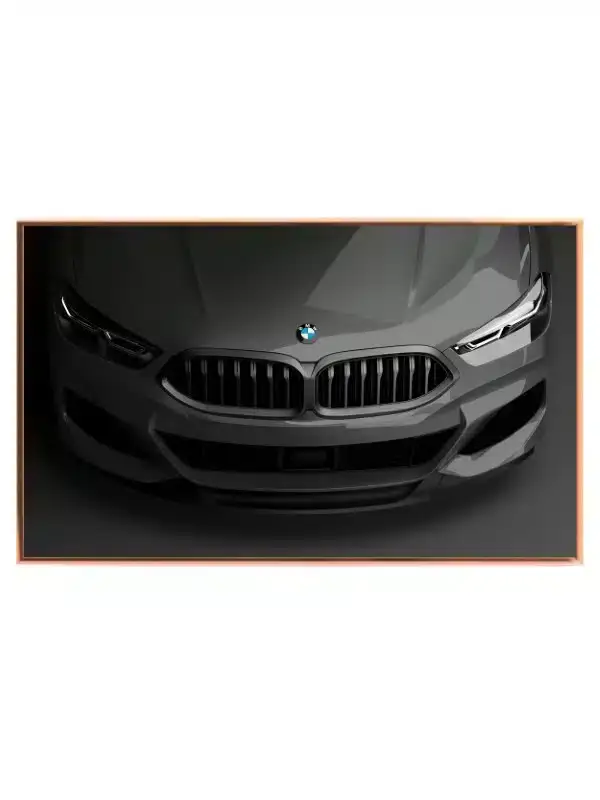 BMW Forfra Ekspertise