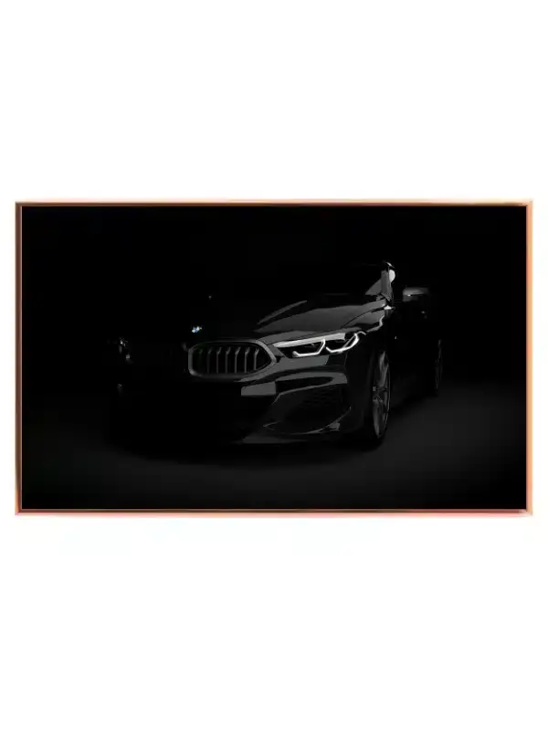 BMW330