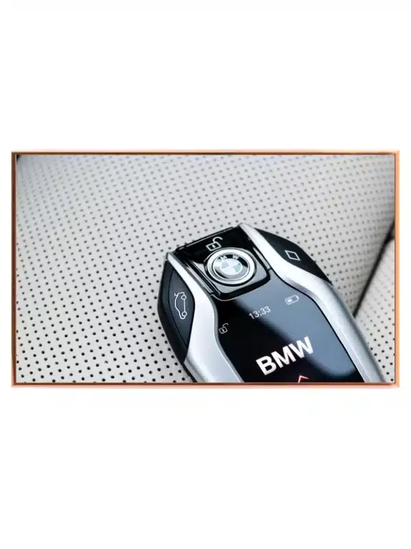 BMW Bilnøgle Funktioner