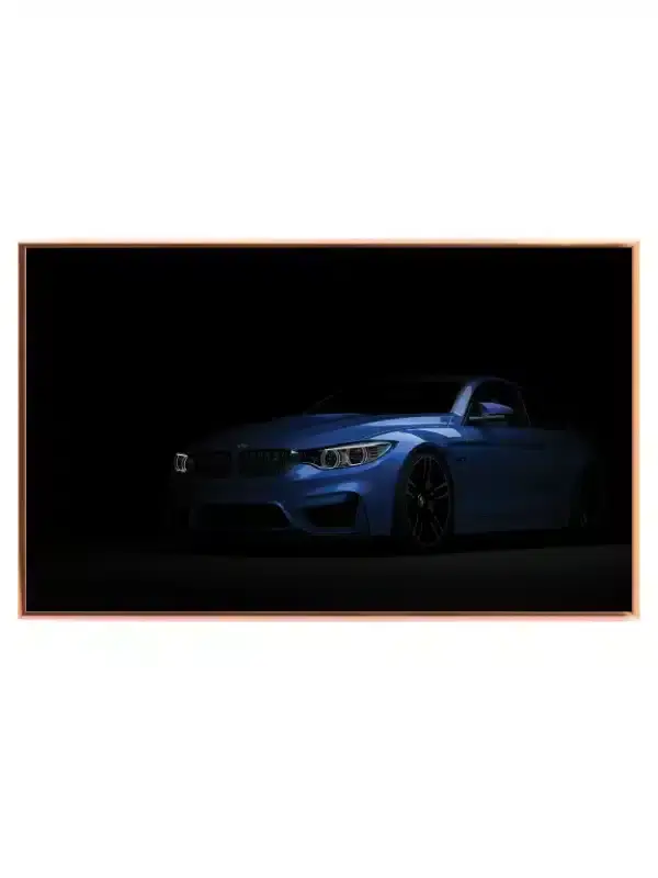 BMW Premium Ydelse Bil