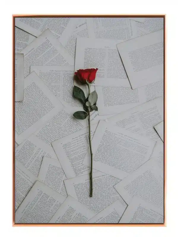Rose bogsider med typografi collage tekstur