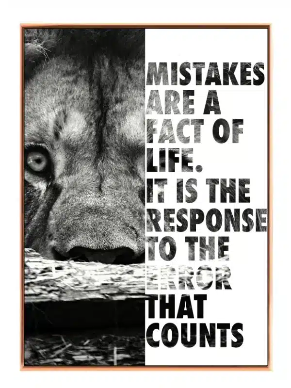 Mistakes Shape Strength Plakat