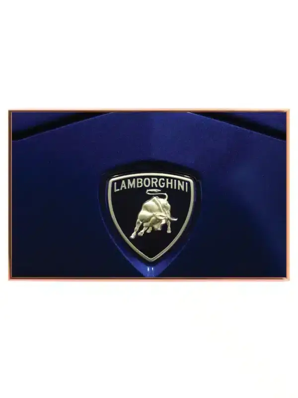 Luksus Lamborghini Sportsvogne