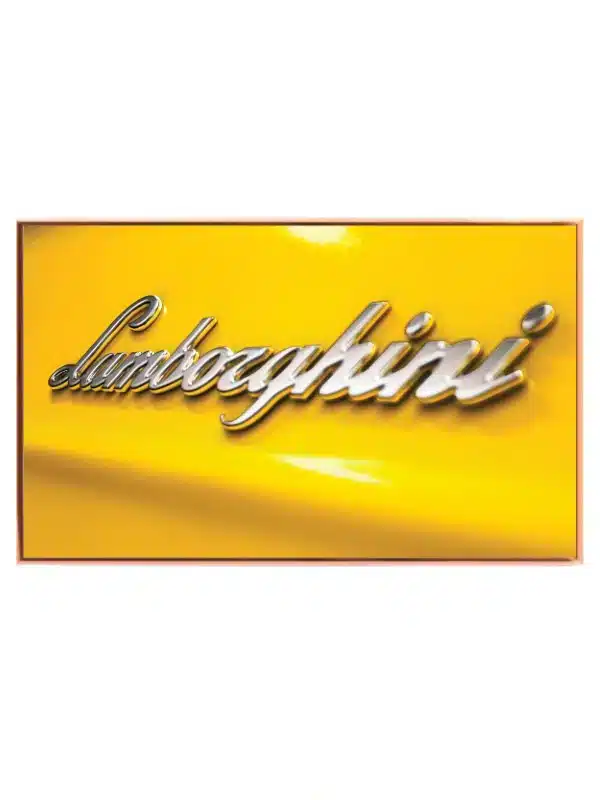 Lamborghini Logo Nærbillede