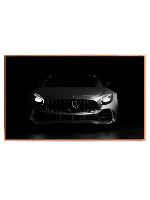 Mercedes AMG GT Luksus Sportsvogn