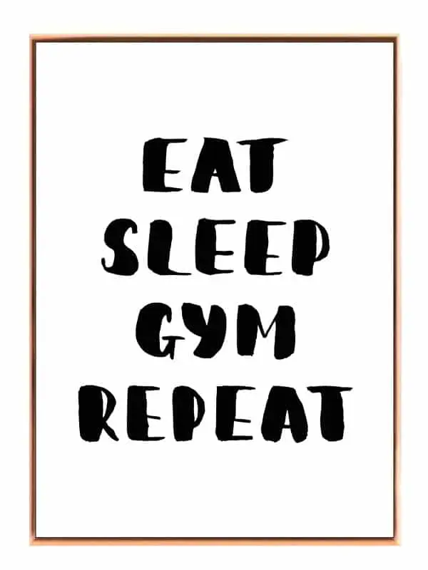 Spis Sov Gym Gentag Plakat