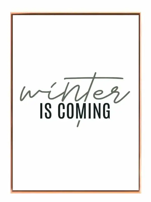 Winter Is Coming Plakat