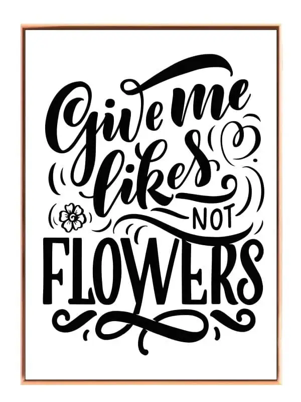 Giv Mig Likes Ikke Blomster Plakat