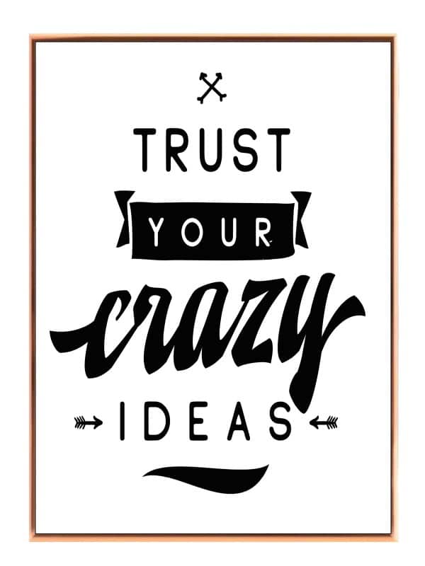 Trust Your Crazy Ideas Plakat