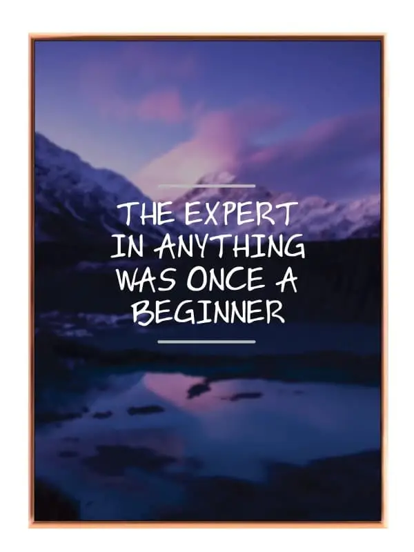 Ekspert Begynder Motiverende Plakat