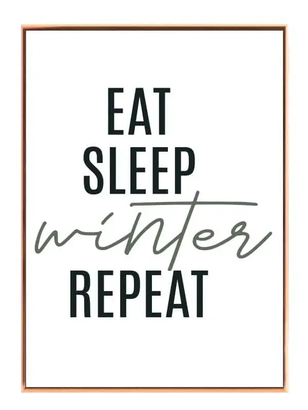 Eat Sleep Winter Plakat