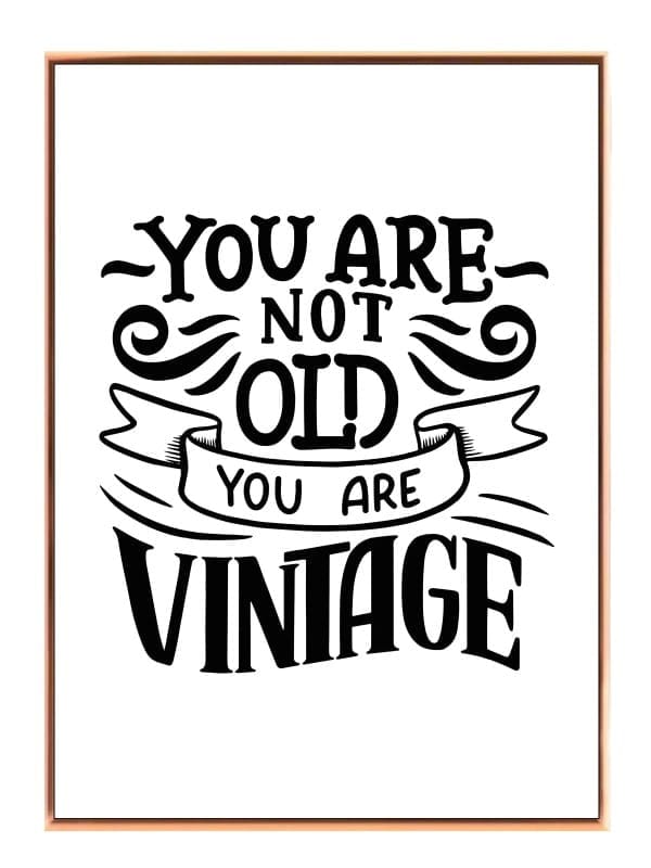 Du Er Vintage Plakat