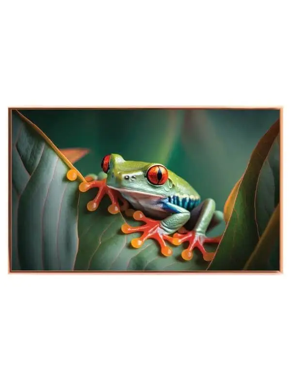 Red Eyed Plakat