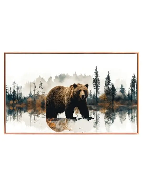 Brown Bear Reflection Plakat