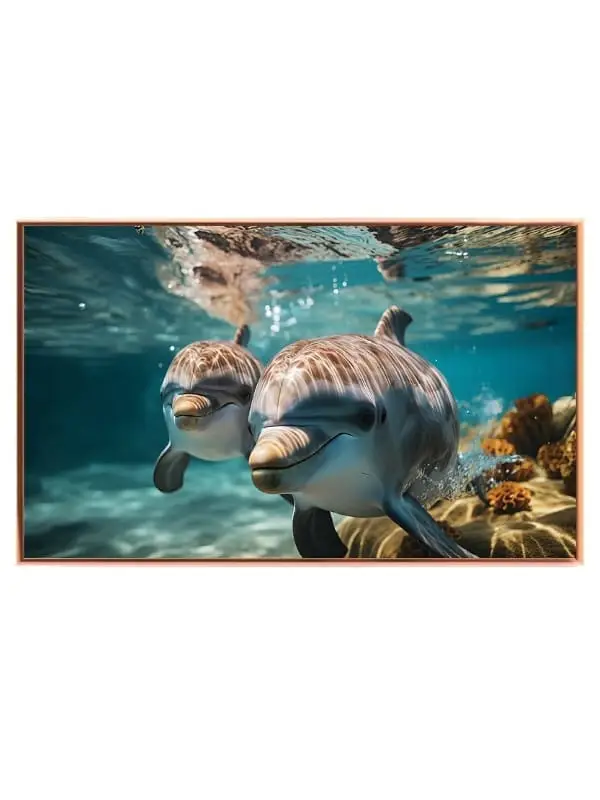 Bottlenose Dolphins Plakat