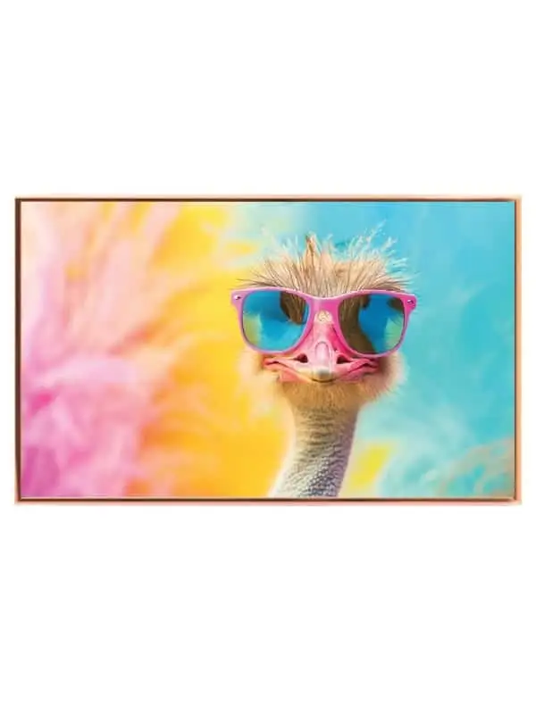 Ko Ostrich With Sunglasses Plakat