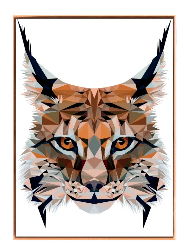 Curious Lynx Geometric Plakat
