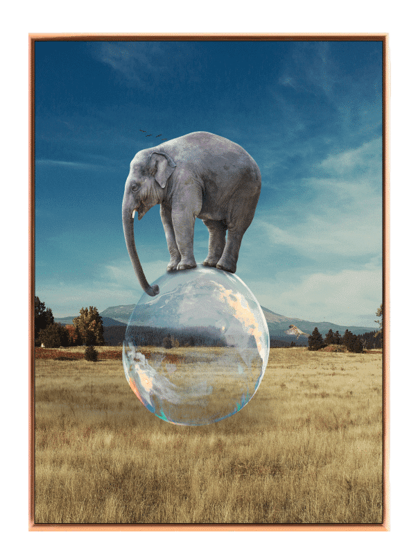 Playful Elephant Bubble Balance Plakat