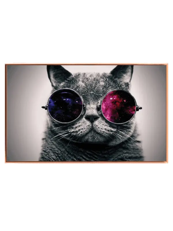 Curious Cat In Cosmic Glasses Plakat