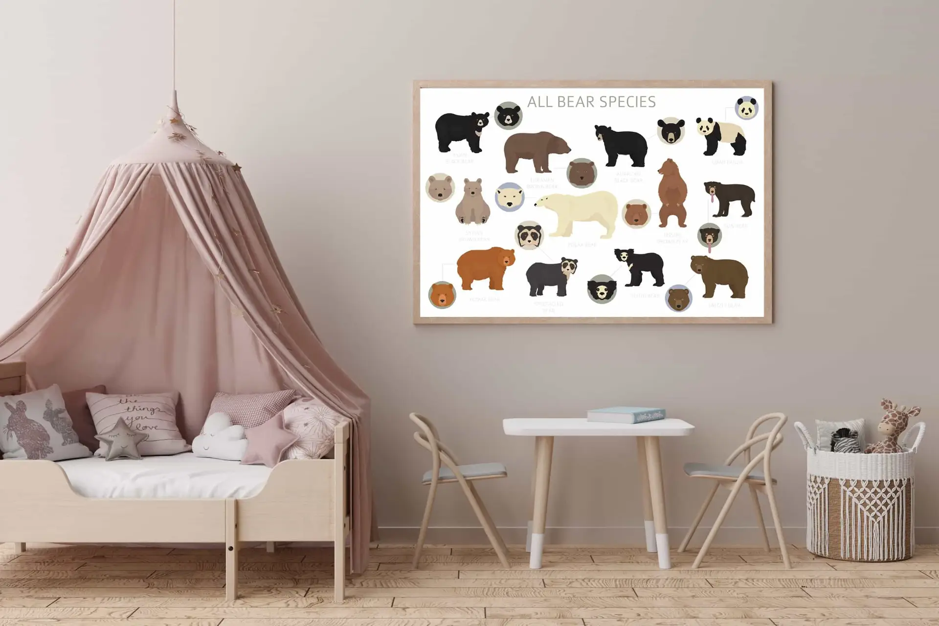 Curious Bear Species Guide Plakat