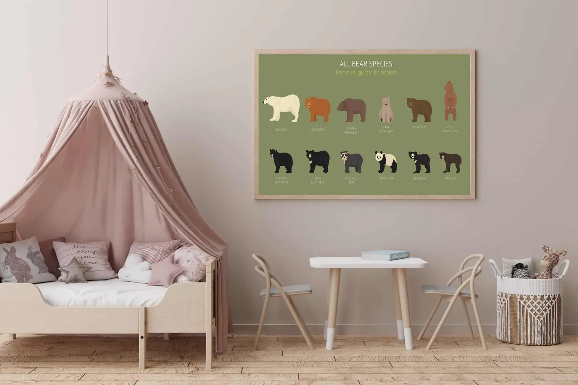 All Bear Species Guide Plakat