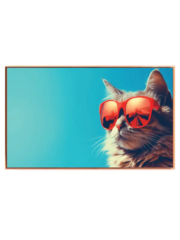 Cool Cat With Sunglasses Plakat