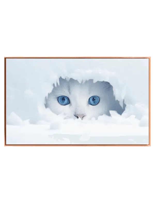 Curious Snow Kitten Peek Plakat