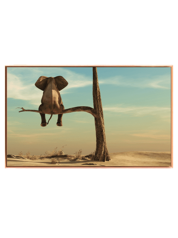 Playful Elephant Adventure Animals Plakat