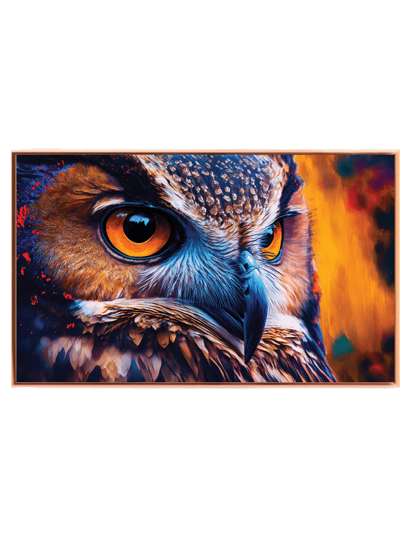 Curious Owl Closeup Plakat