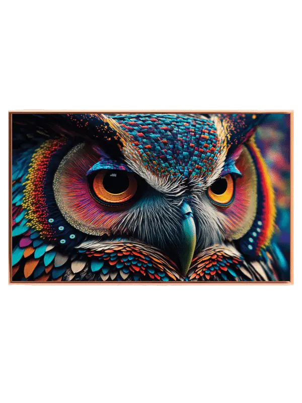 Curious Colorful Owl Plakat