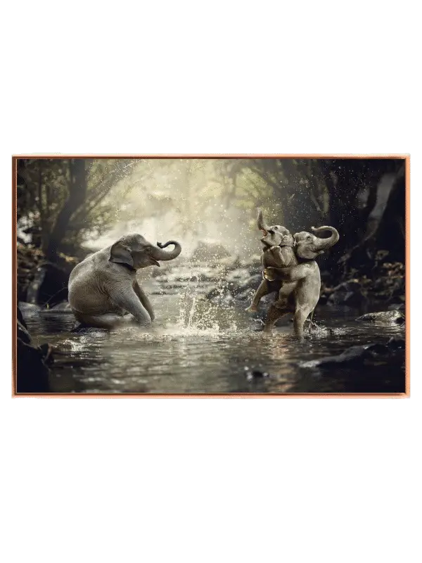 Playful Baby Elephants Splash Plakat