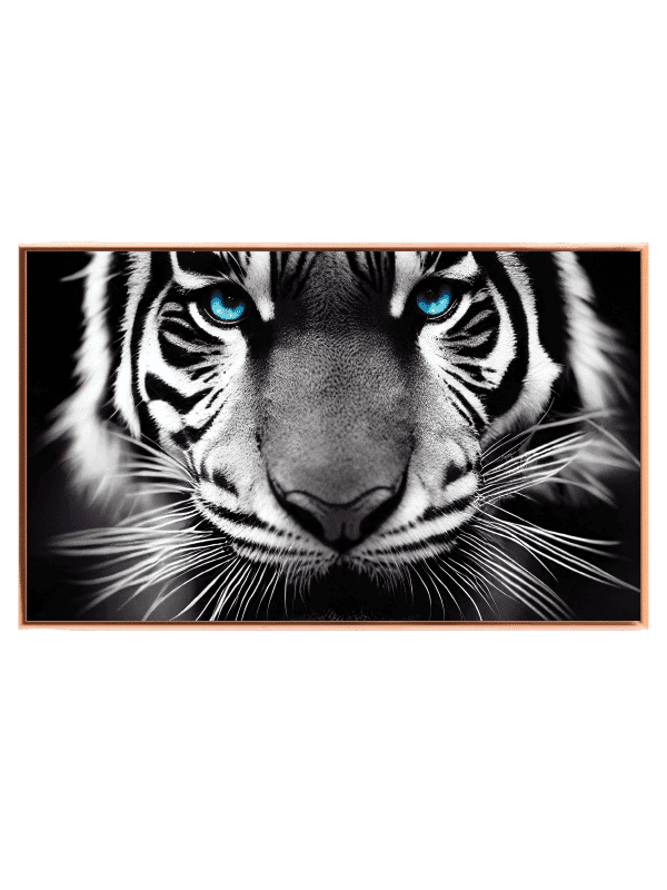Curious Tiger With Blue Eyes Plakat