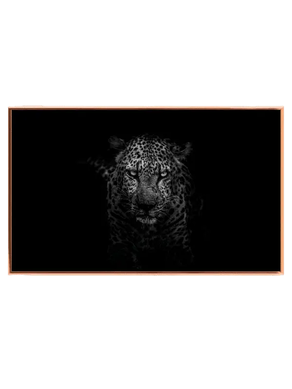 Mysterious Leopard Night Plakat