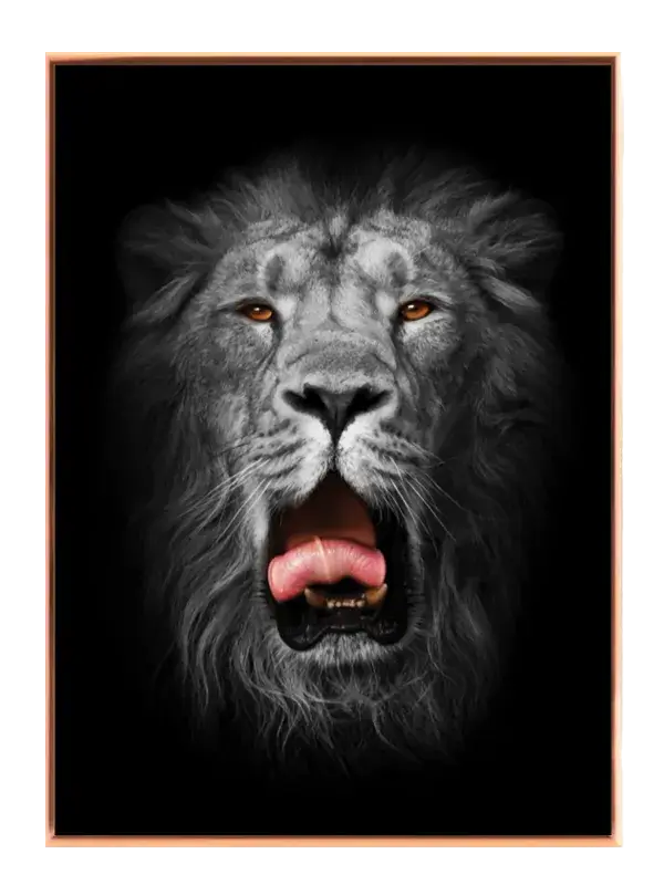 Lion Face Plakat