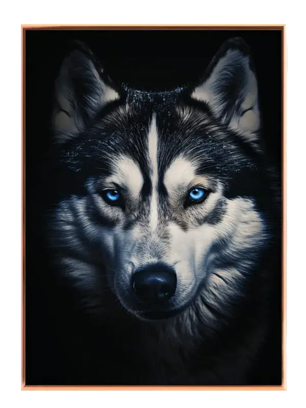 Husky Close Plakat