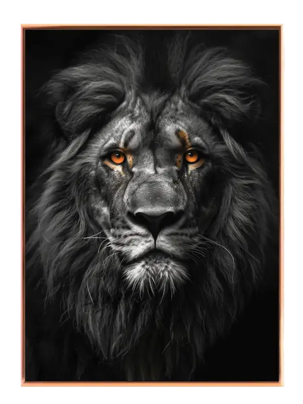 Lion Close Up Plakat