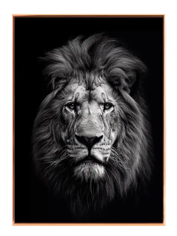 Lion Head Plakat