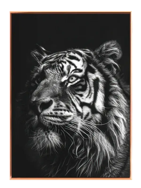 Tiger Portrait Plakat