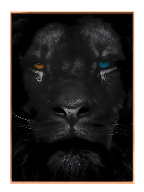 Black Lion Close Up Plakat