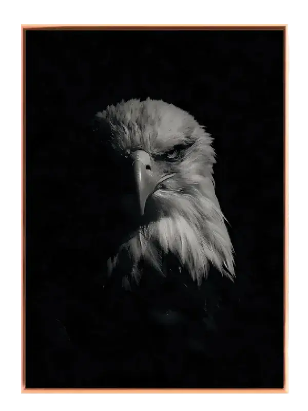 Bald Eagle Plakat