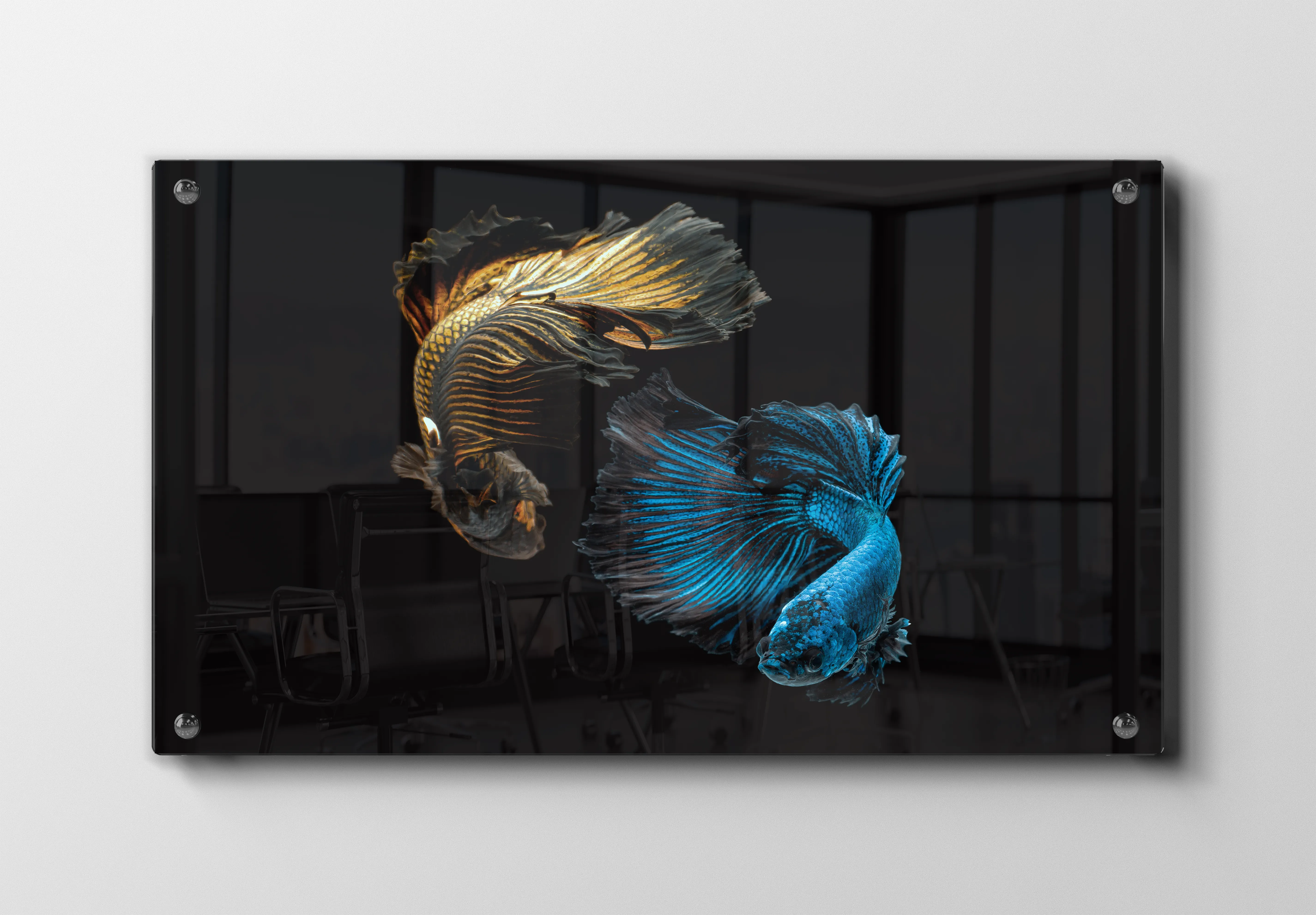 Betta Fish Duo Plakat