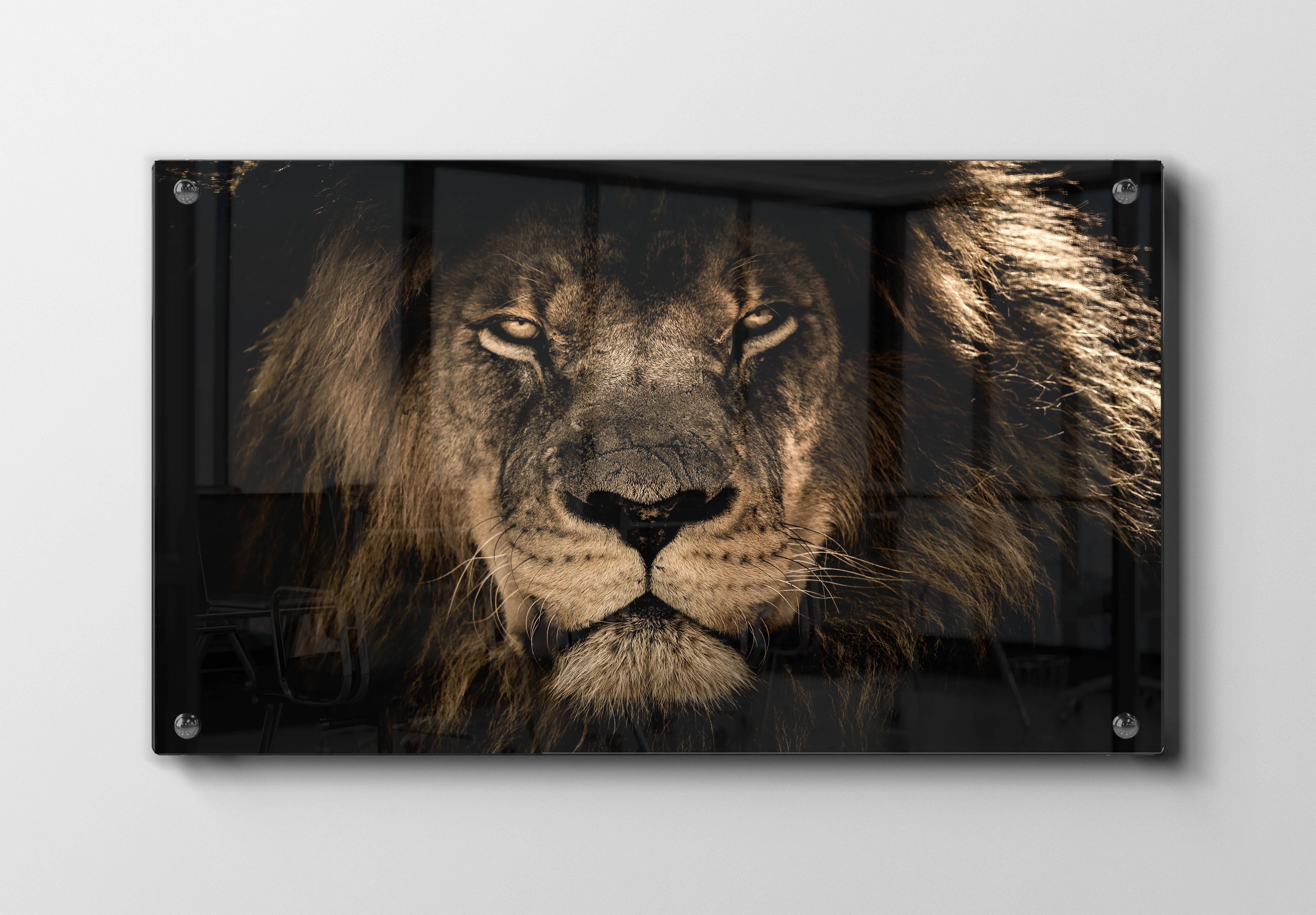 Lion Face III Plakat