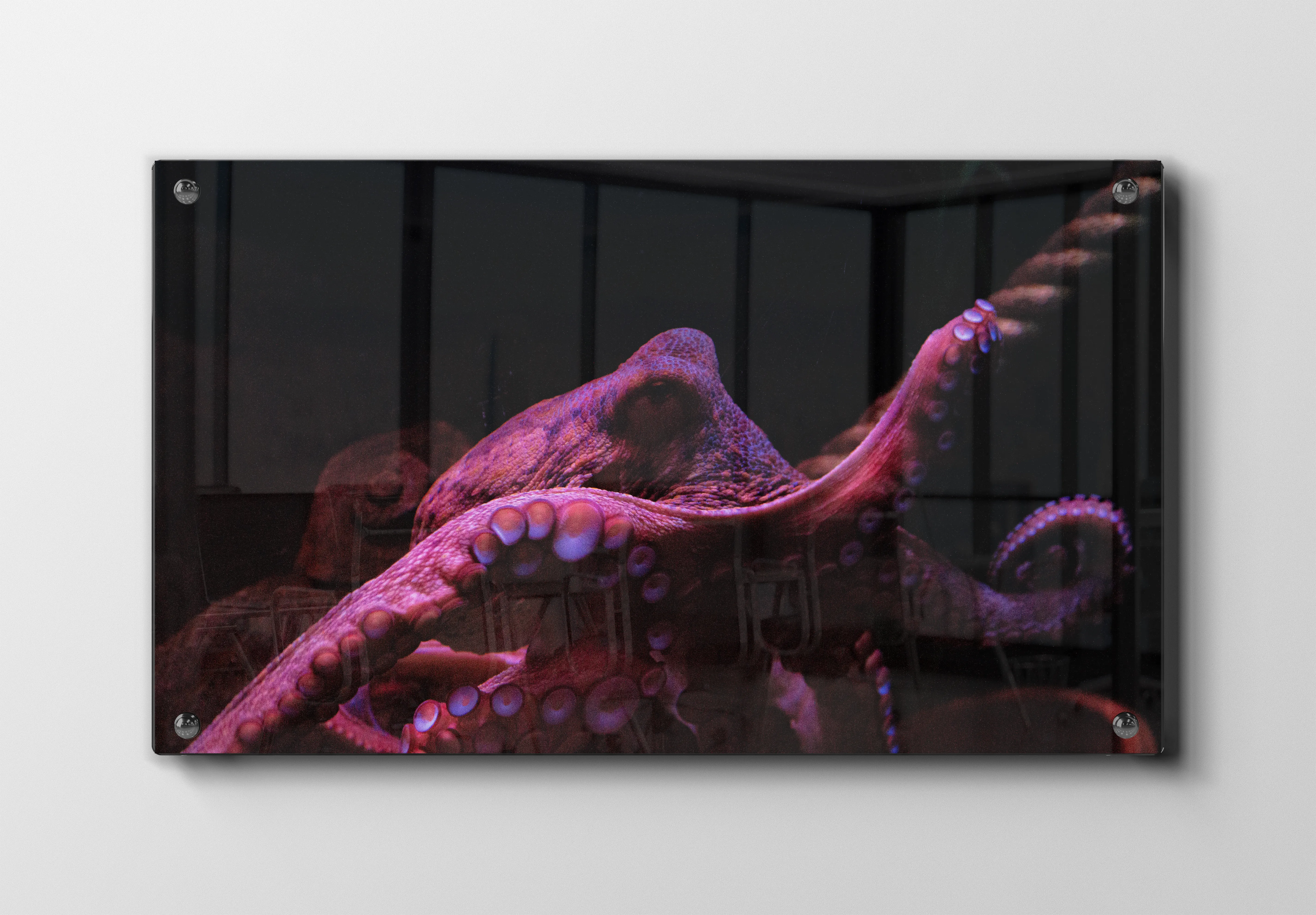 Octopus Plakat
