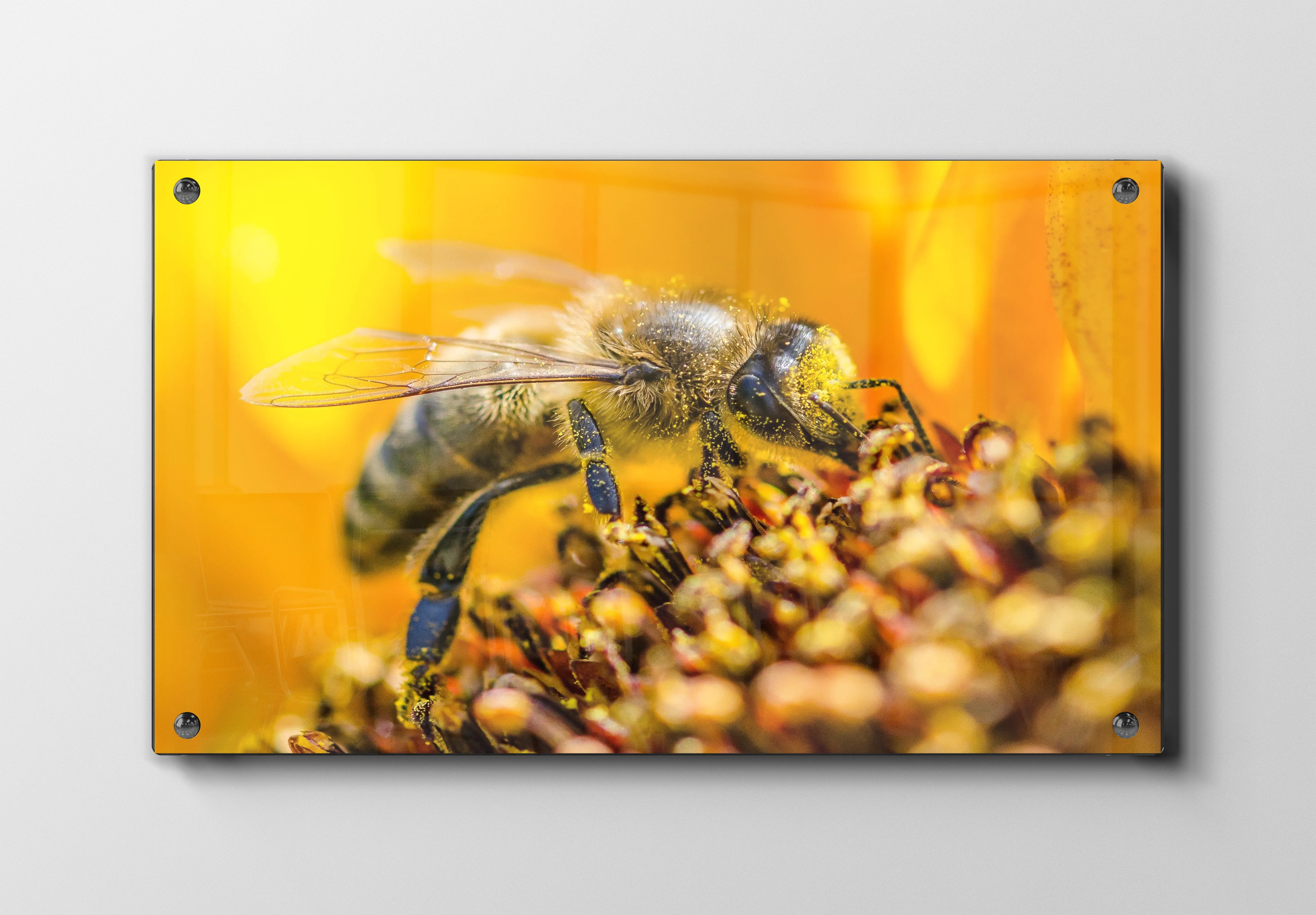 Honeybee no2 Plakat