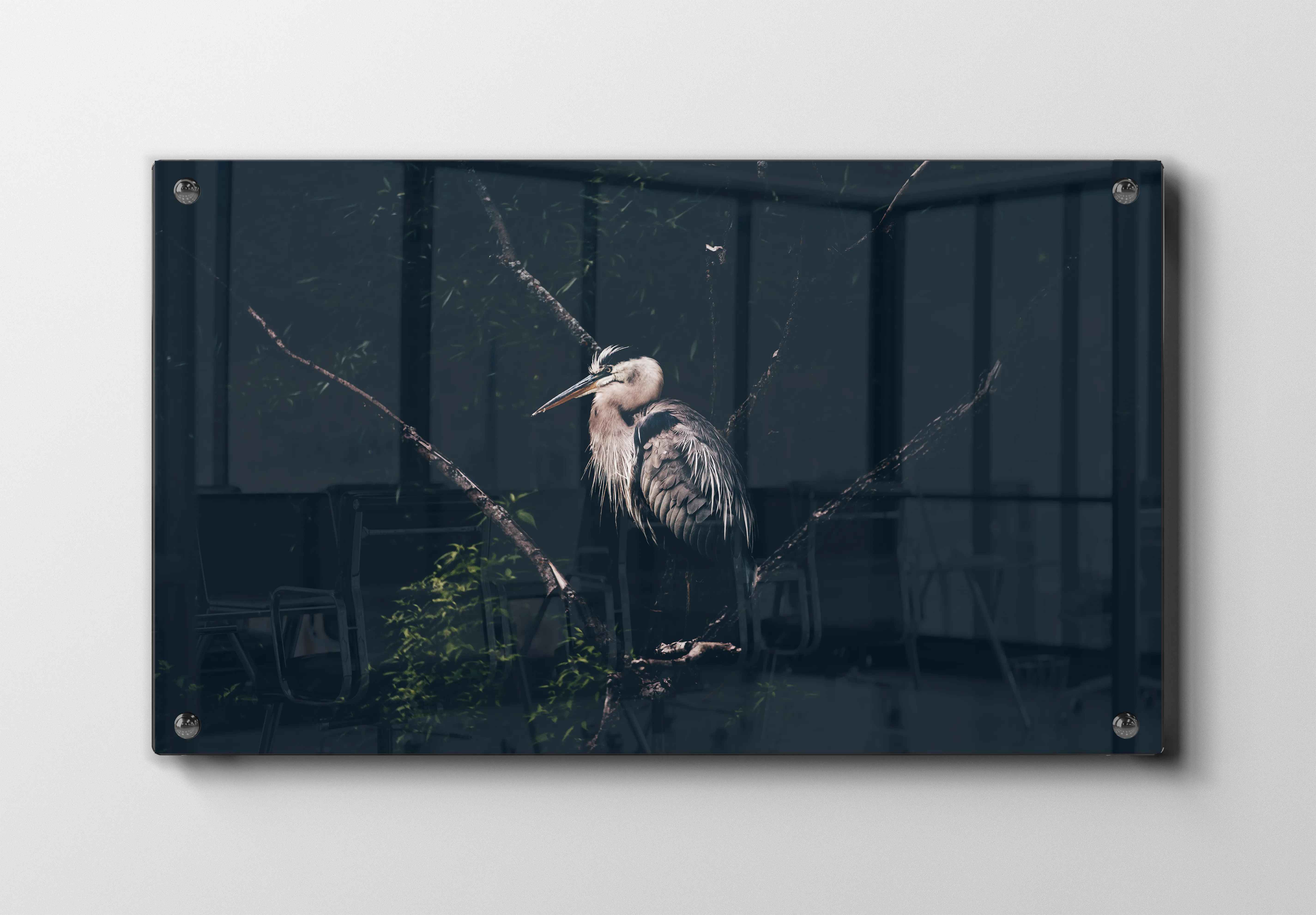 Fugl Heron Plakat